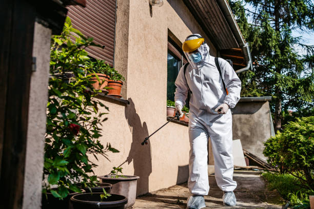 Best Wasp Removal Services  in Wonder Lake, IL
