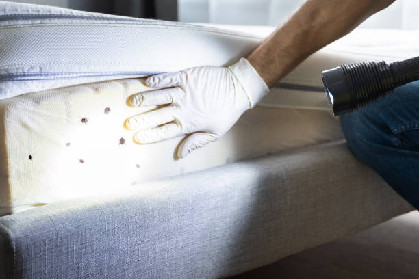 Pest Control for Restaurants in Wonder Lake, IL