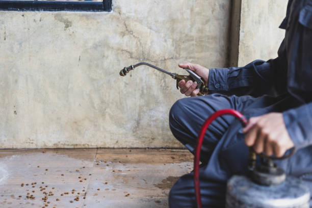 Best Best Pest Control Companies  in Wonder Lake, IL
