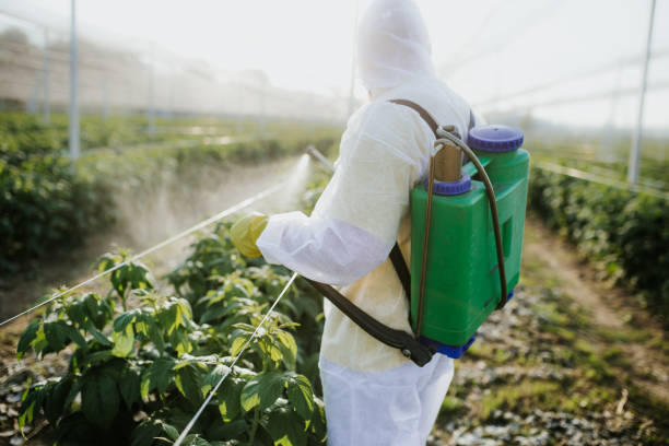 Best Local Pest Control Services  in Wonder Lake, IL